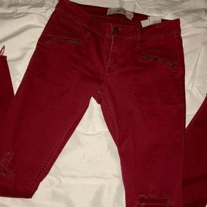 Hollister Super Skinny Maroon Jeans